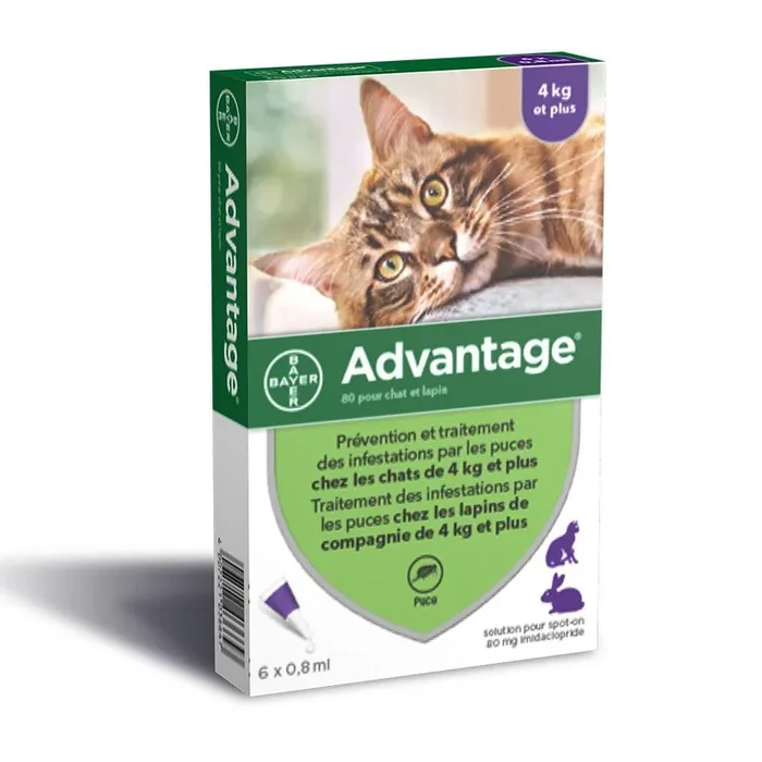 80 Pour Grand Chat Et Lapin Plus De 4 Kilos 6×0.8ml Advantage