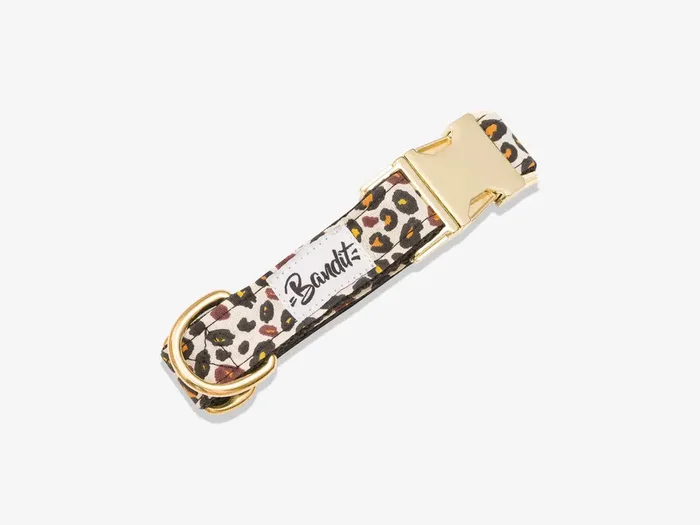 Bandit – Collier pour chien léopard – WILD WILD WOUF S
