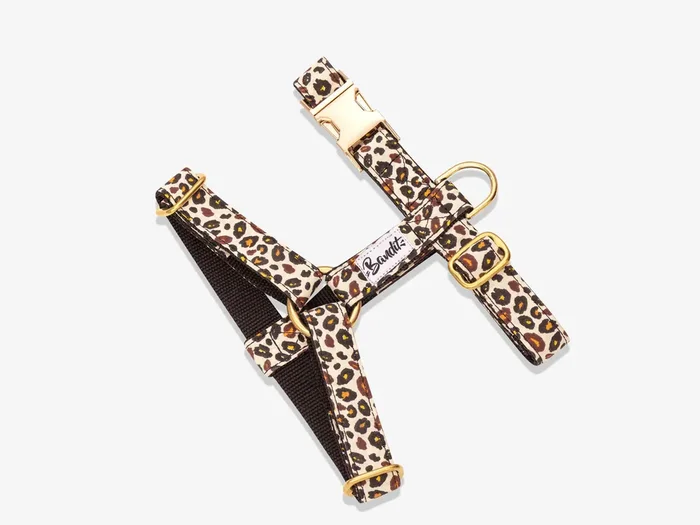 Bandit – Harnais pour chien motif léopard – WILD WILD WOUF – M