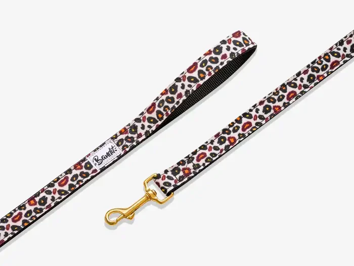 BANDIT LAISSE CHIEN WILD WOUF – 120CM