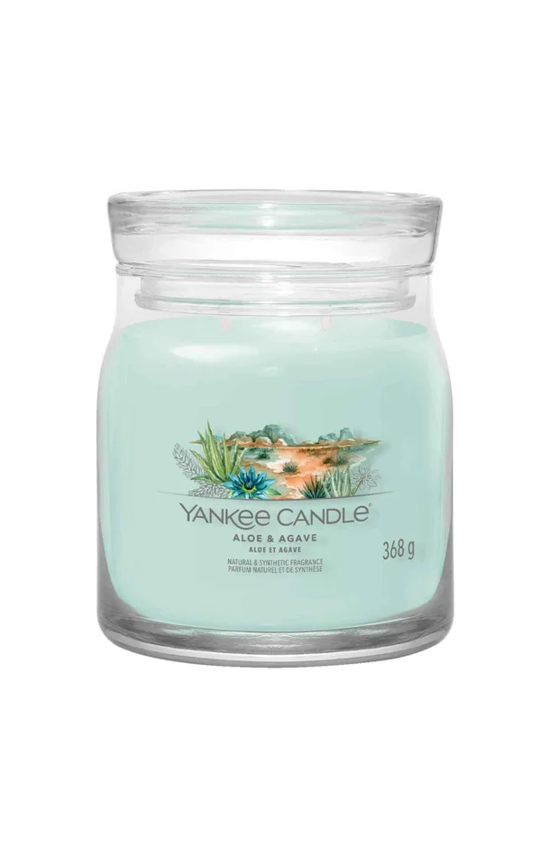 Bougie jarre – Aloe & agave – Modèle medium – 368 g