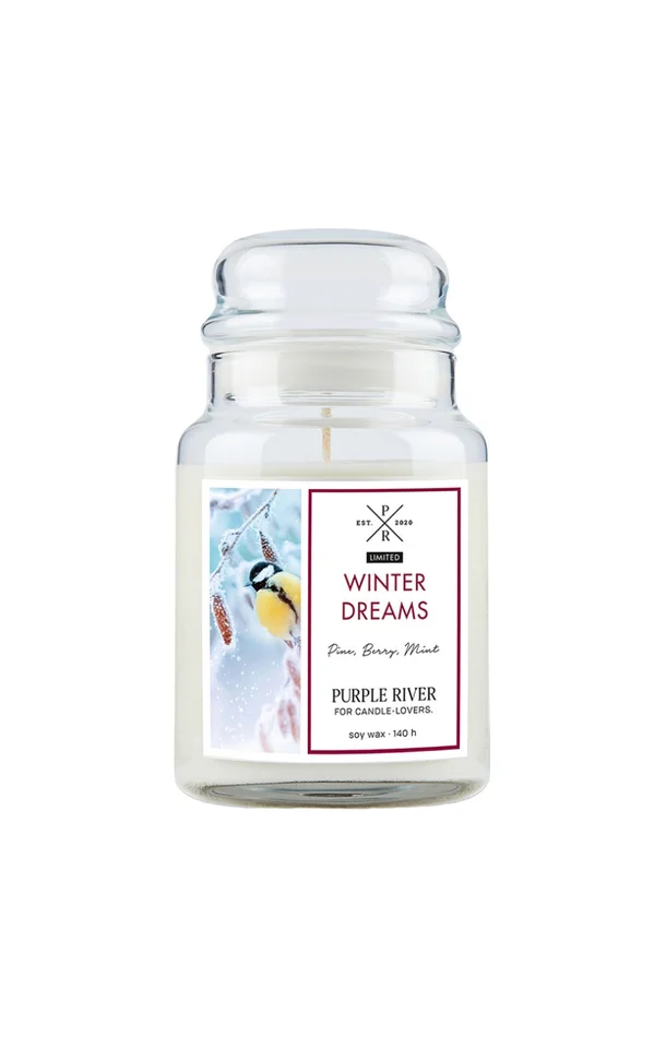 Bougie parfumée – Winter Dreams – Bergamote & pin – 623 g