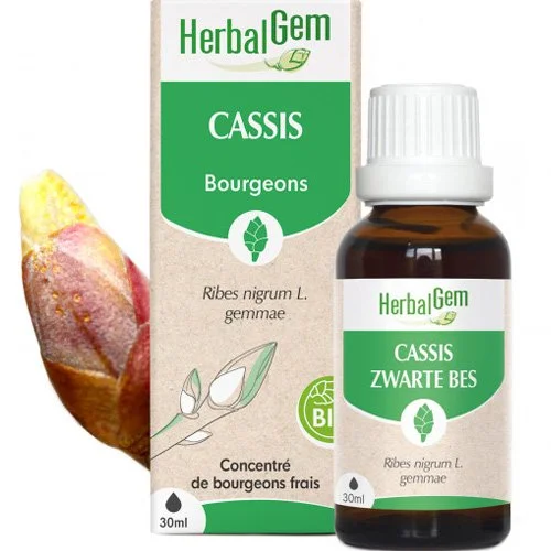 Bourgeons de Cassis – Articulations et allergies – 30 ml