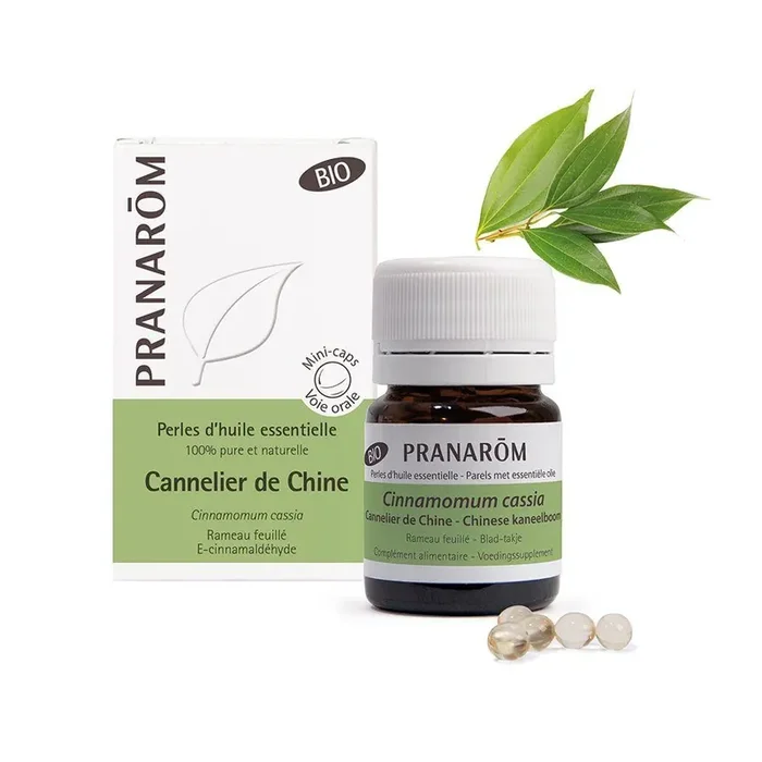Cannelier De Chine Bio 60 Perles Les Huiles Essentielles Les Huiles Essentielles pranarom