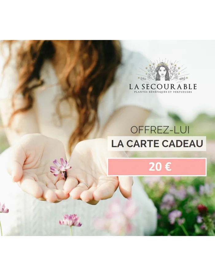 Carte cadeau – La Secourable