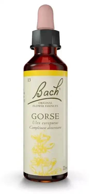 Fleurs de Bach Original Fleurs de Bach® Original Gorse / Ajonc / Ulex Europaeus