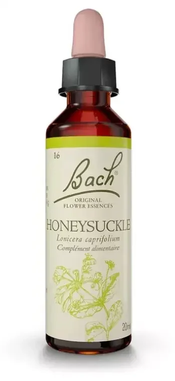 Fleurs de Bach Original Fleurs de Bach® Original Honeysuckle / Chèvrefeuille / Lonicera Caprifolium
