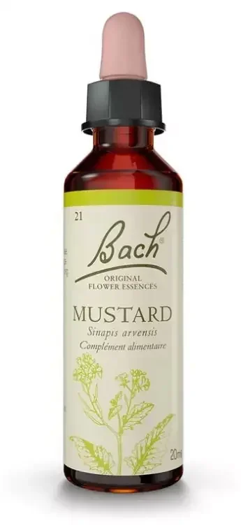 Fleurs de Bach Original Fleurs de Bach® Original Mustard / Moutarde / Sinapis Arvensis