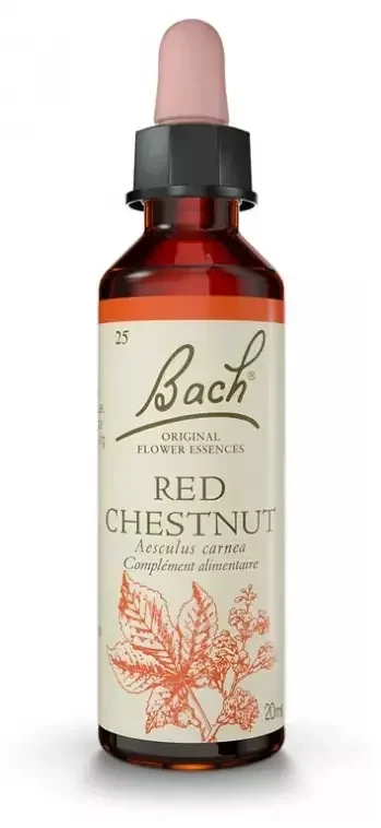 Fleurs de Bach Original Fleurs de Bach® Original Red Chestnut / Marronnier Rouge / Aesculus Carnea