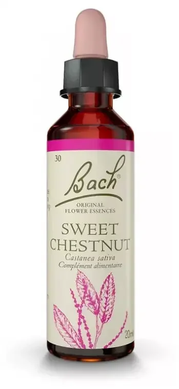 Fleurs de Bach Original Fleurs de Bach® Original Sweet Chestnut / Châtaignier / Castanea Sativa