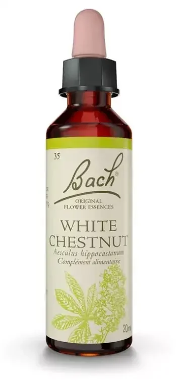 Fleurs de Bach Original Fleurs de Bach® Original White Chestnut / Marronnier Blanc / Aesculus Hippocastanum
