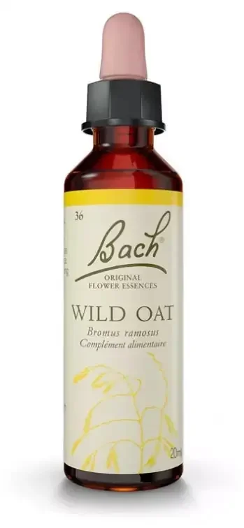 Fleurs de Bach Original Fleurs de Bach® Original Wild Oat / Avoine Sauvage / Bromus Ramosus