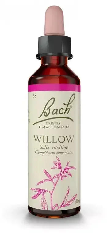 Fleurs de Bach Original Fleurs de Bach® Original Willow / Saule / Salix Vitellina