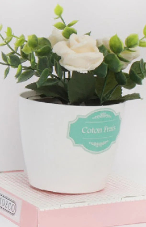 Fleurs parfumées – Coton frais