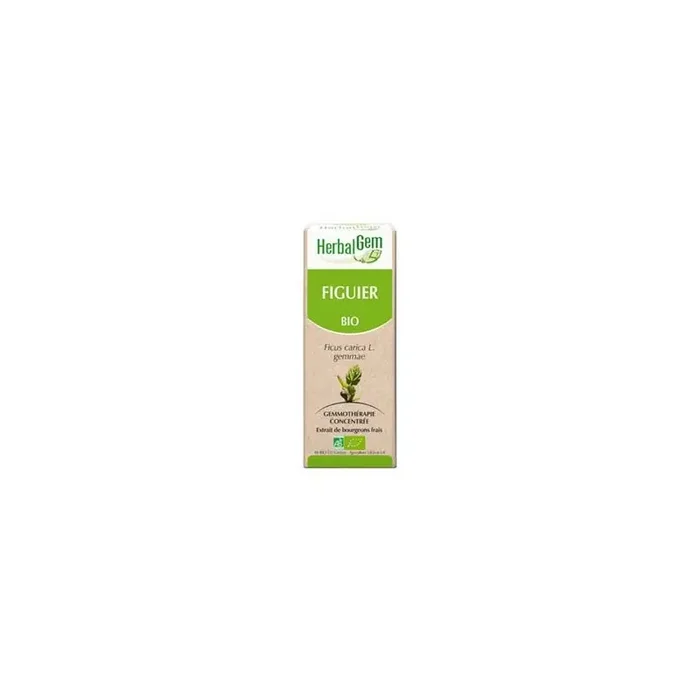 Herbalgem figuier bio 30ml
