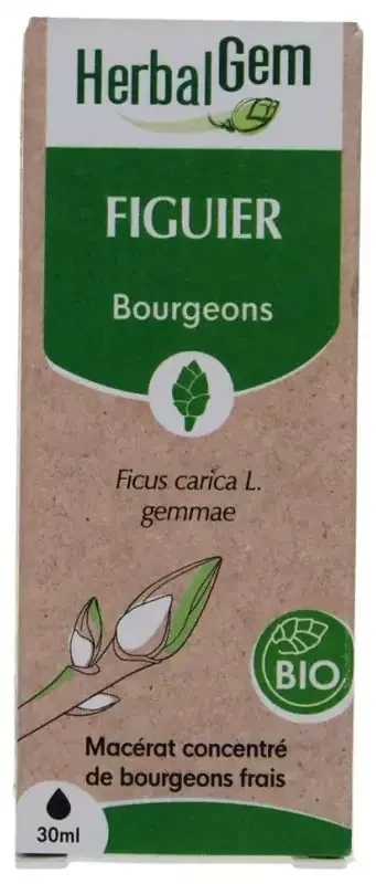 Herbalgem Figuier Bio Macérats-Mères de Gemmothérapie Concentrée 030173