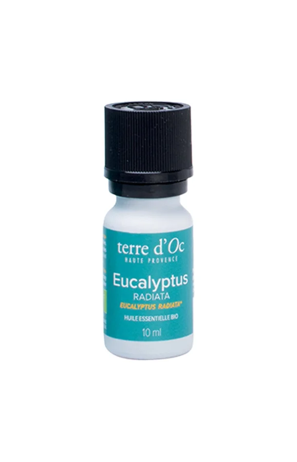 Huile essentielle – Eucalyptus radiata – 10ml