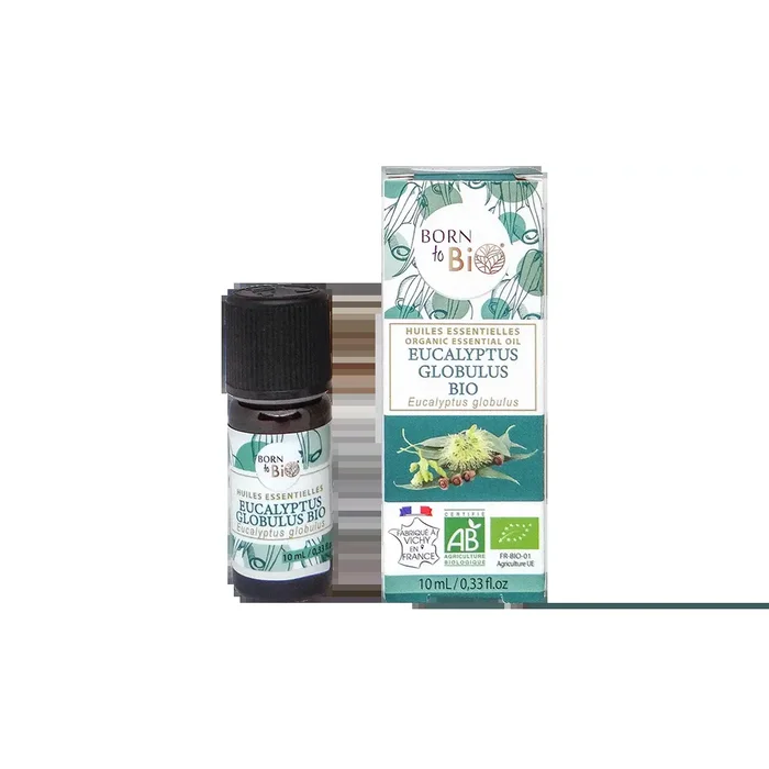 Huile essentielle Eucalyptus globulus Certifiée Bio