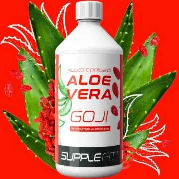 Jus Et Pulpe D’aloe Vera Avec Du Goji