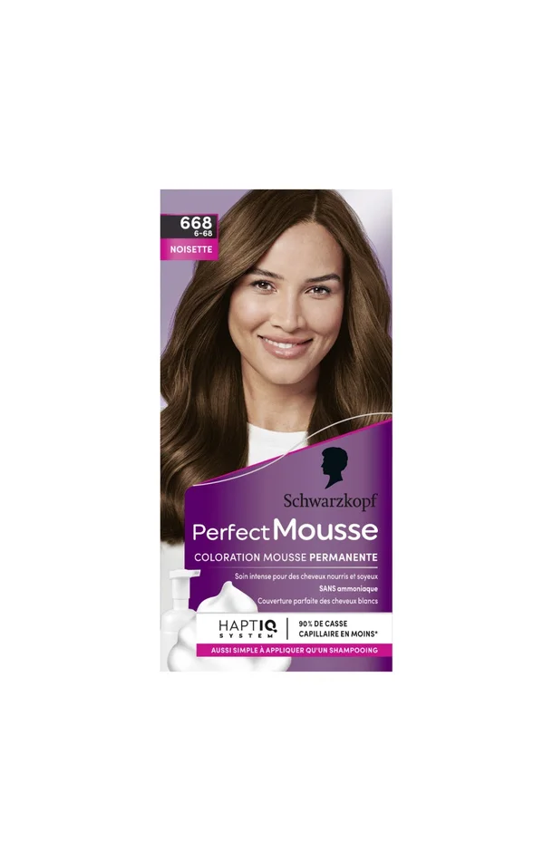 Kit coloration permanente – Perfect Mousse