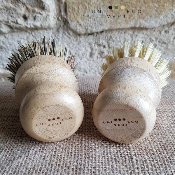 La brosse à vaisselle végétale