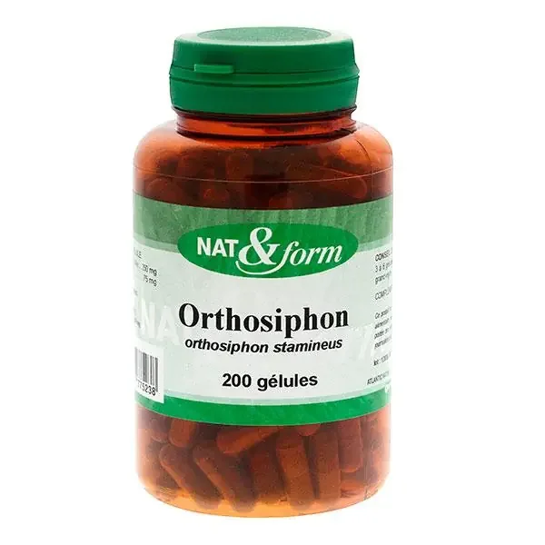 Orthosiphon 200 gélules