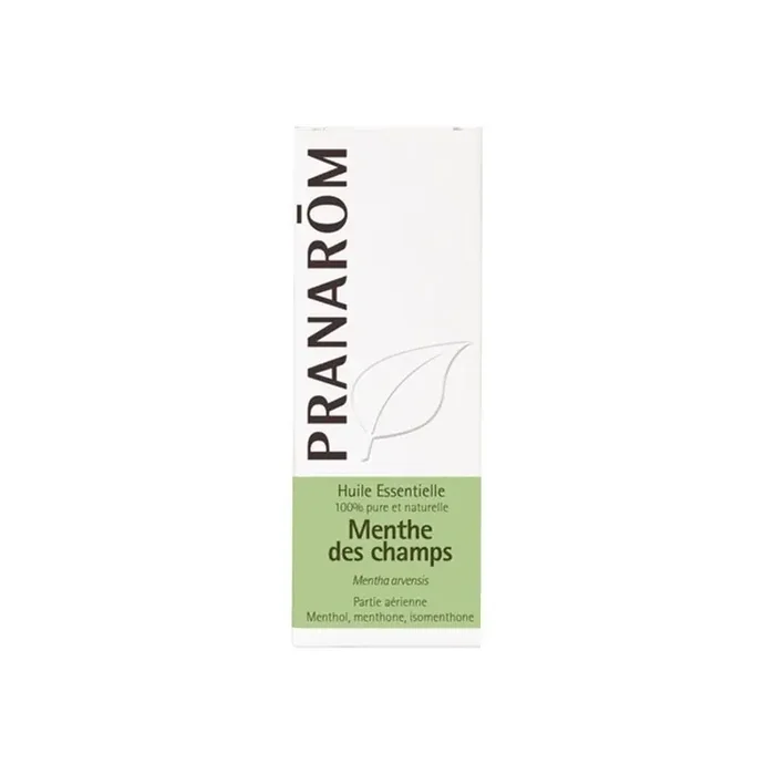 Pranarom menthe des champs huile essentielle 10ml
