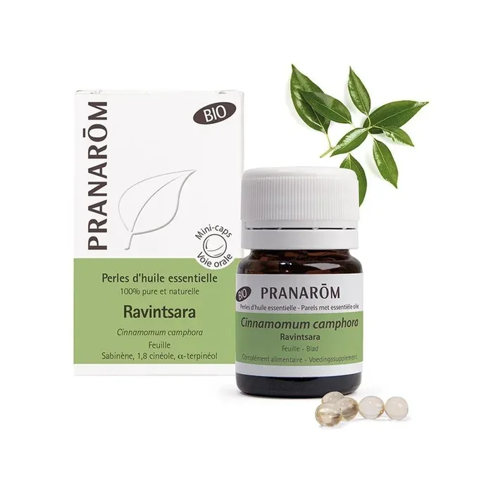 Ravintsara Bio 60 Perles Les Huiles Essentielles Les Huiles Essentielles pranarom