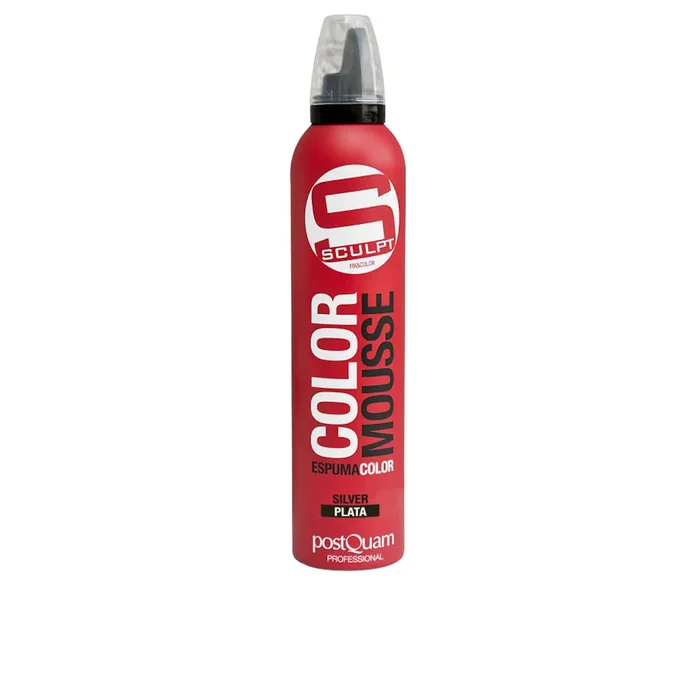 SCULPT COLOR MOUSSE #argent 300 ml