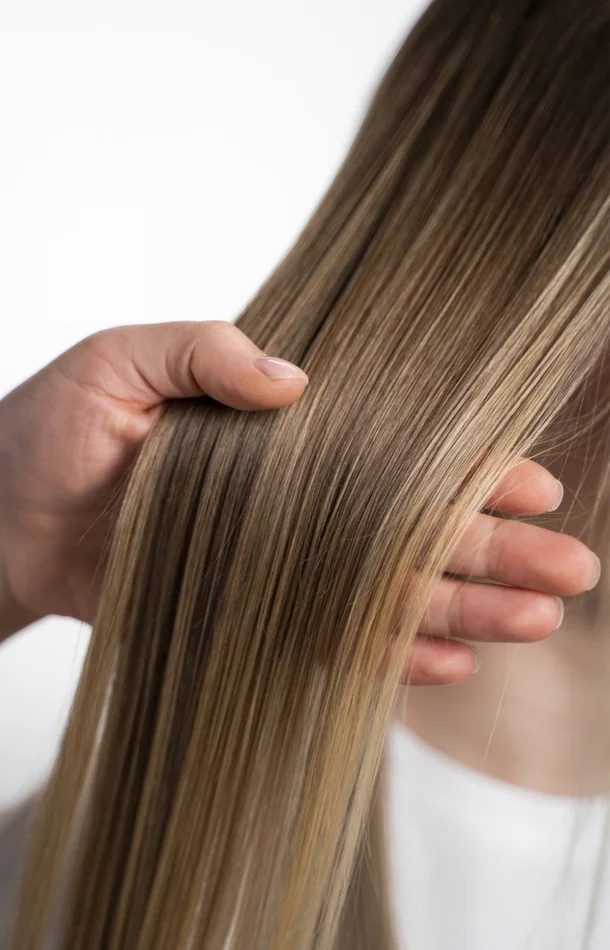 Shampoing, Coupe & Brushing – 1h