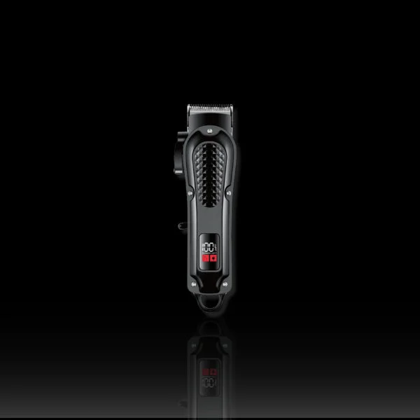 Tondeuse Barbe Professionnelle
