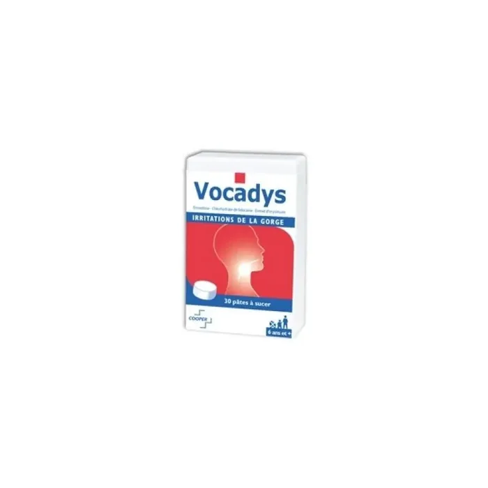 Vocadys irritations buccales boite de 30 pates buccales